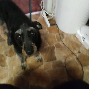 Meet your Posher, Bonnie